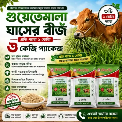 গুয়াতেমালা ঘাসের বীজ – ৩ কেজি