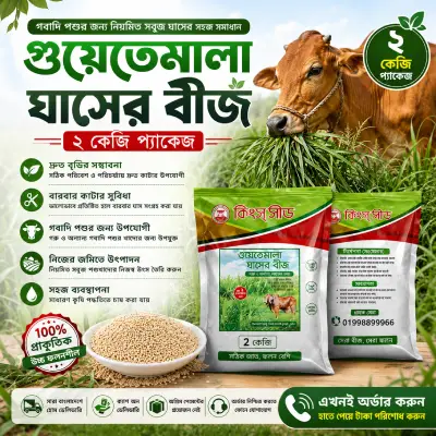 গুয়াতেমালা ঘাস বীজ ২ কেজি